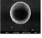 Scanning Electron Microscope SEM x10,000